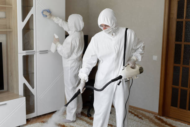 Best Local Mold Removal Service  in Combine, TX