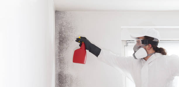 Best Attic Mold Removal  in Combine, TX