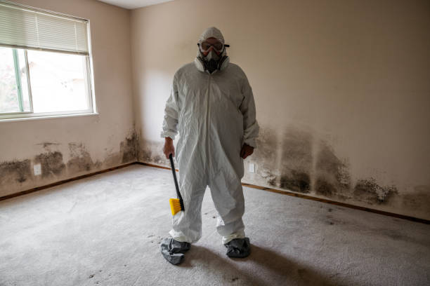 Best Attic Mold Removal  in Combine, TX